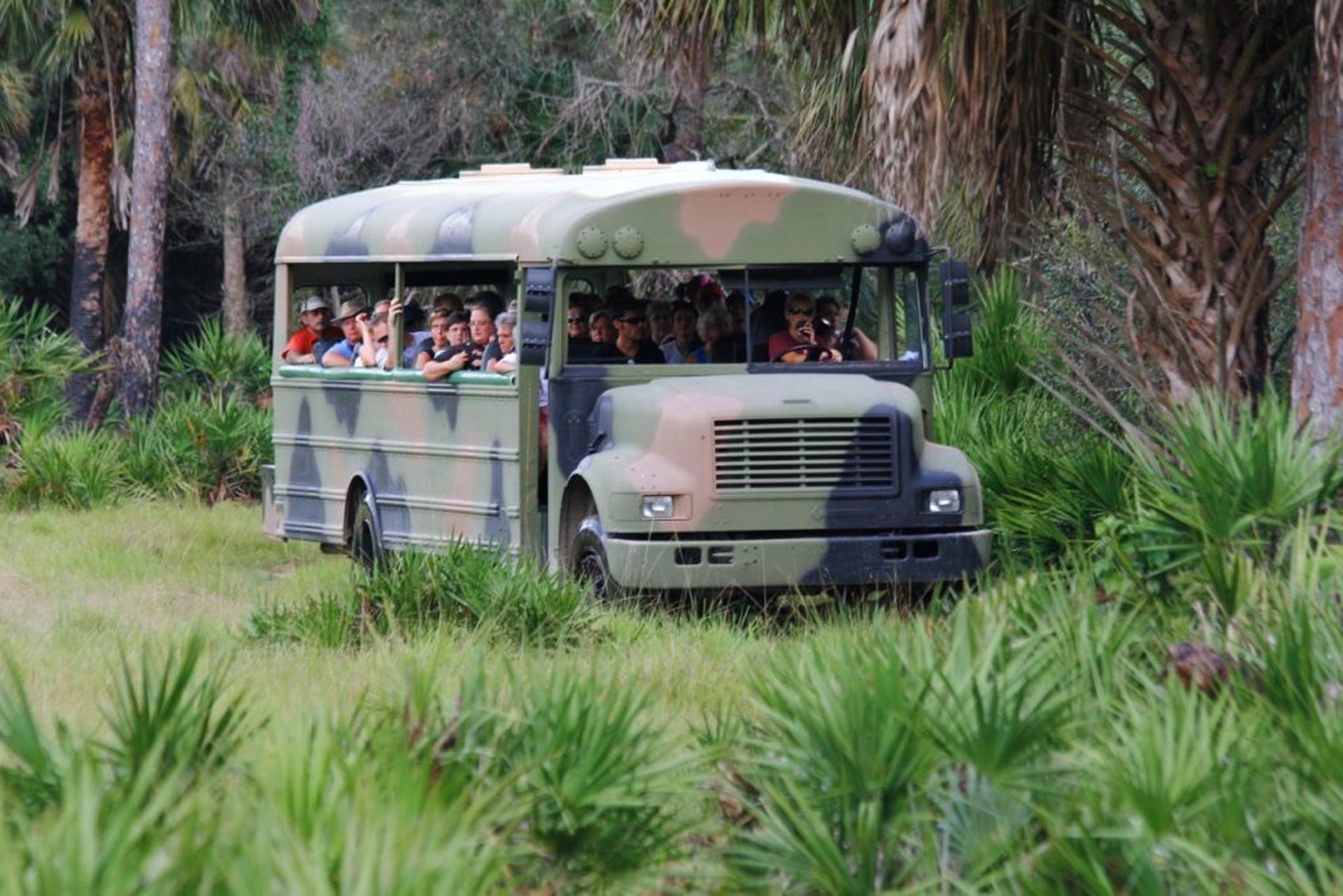 Unveiling Natures Wonders: The Best ‍Eco-Tours