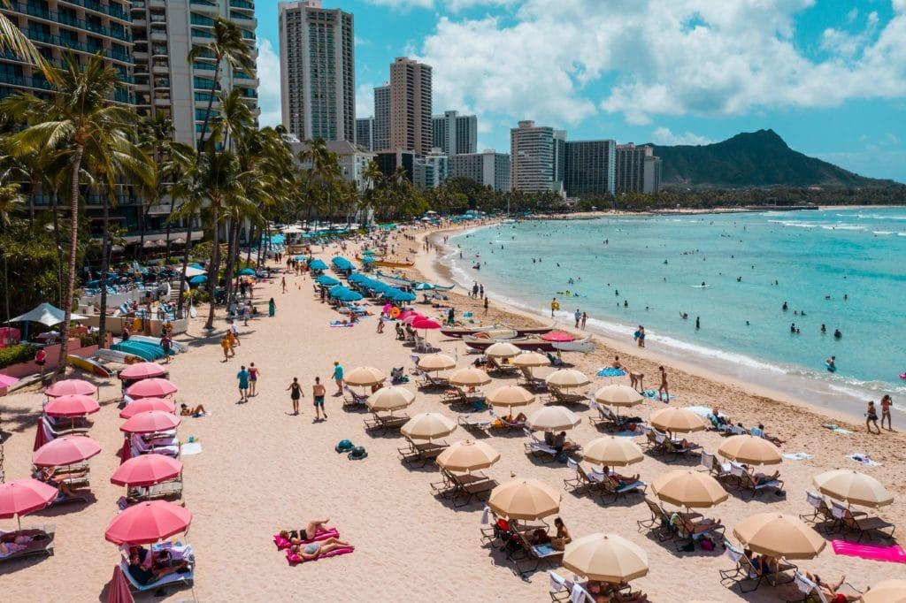 Nature Escapes: Scenic Trails and Natural Wonders Around Waikiki
