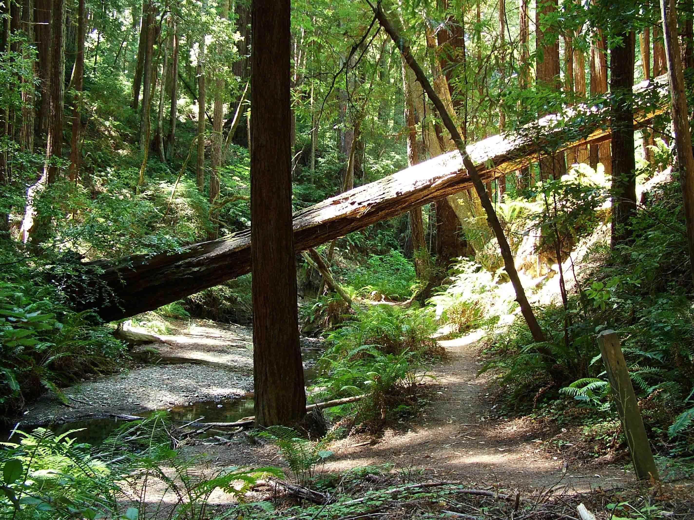 Adventurous ⁤Hiking Trails⁣ with Stunning Views