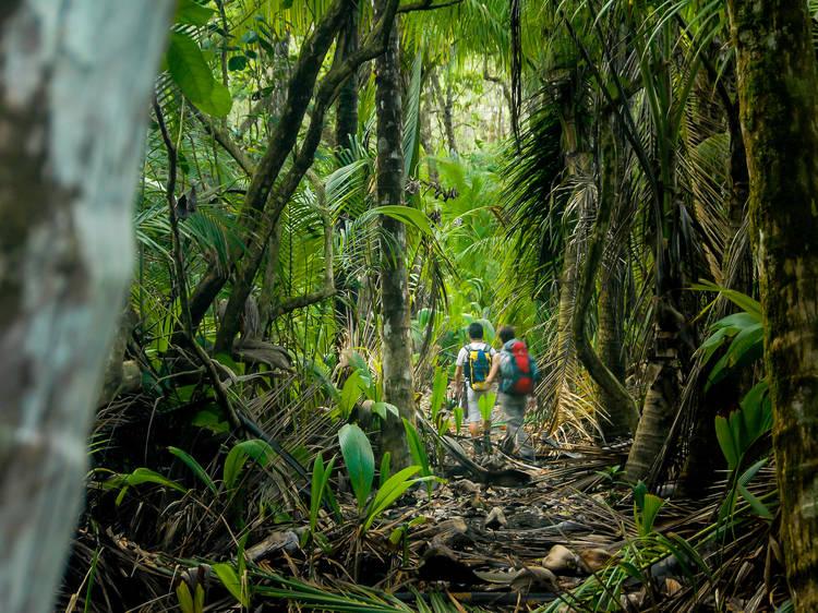 Preserving Paradise: How ​Tours Contribute to Conservation
